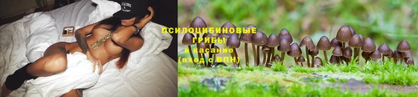 первитин Михайлов