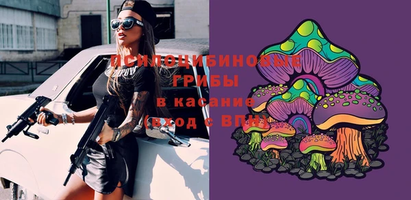 мдпв Михайловка