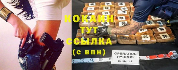 первитин Михайлов
