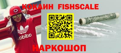 крисы Дубна