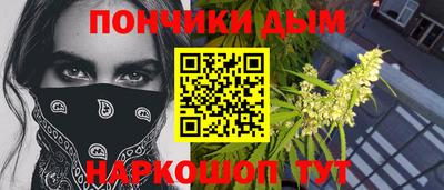 крисы Дубна