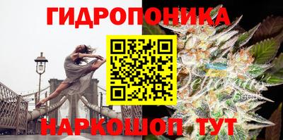 крисы Дубна