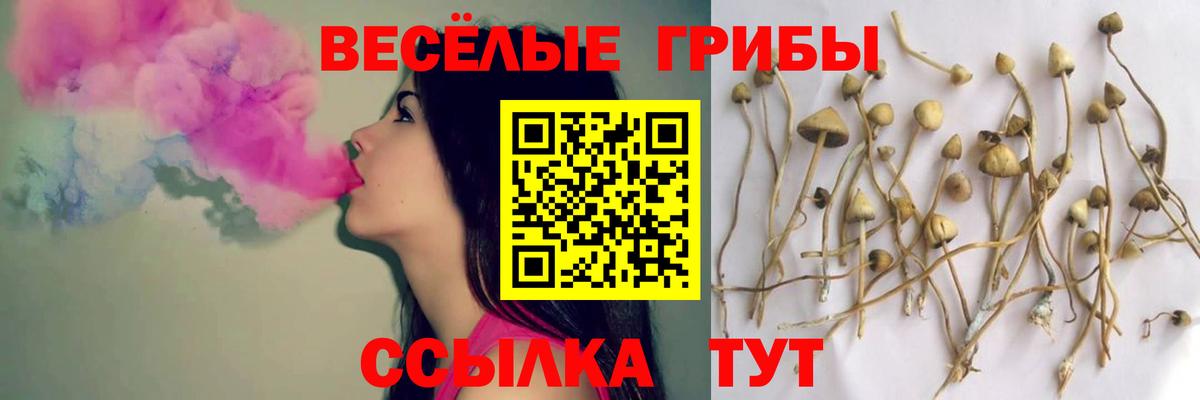 Галлюциногенные грибы Psilocybe  Вход с VPN  Галлюциногенные грибы ЛСД  Карпинск 
