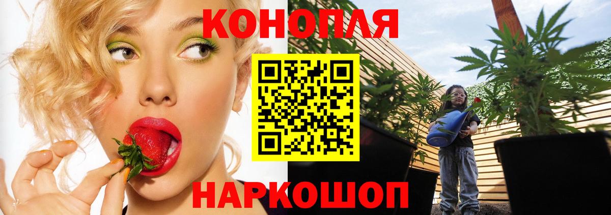 Марихуана планчик Карпинск